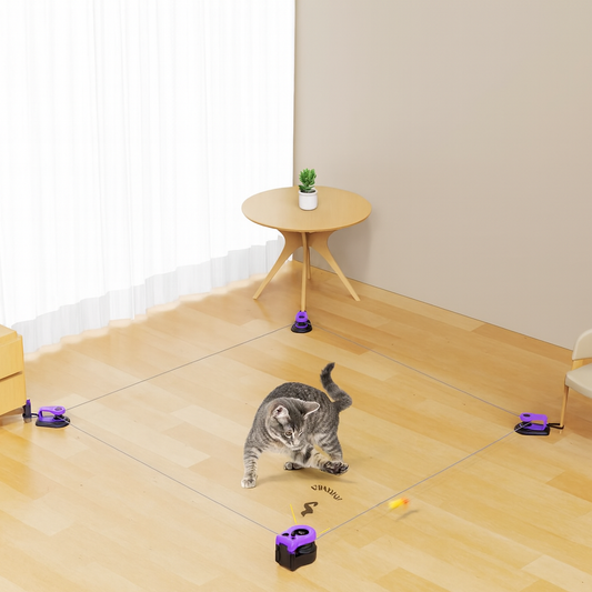 Running cat toy
